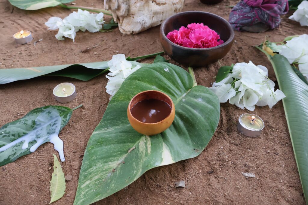 The programs featured image